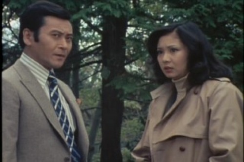 PDVD_102.jpg