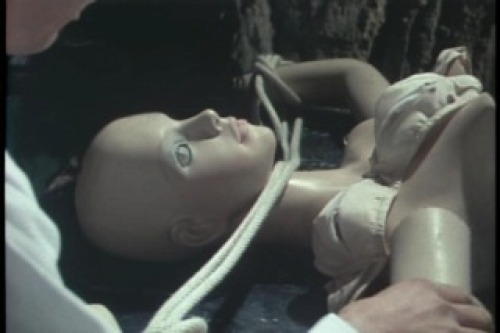 PDVD_119.jpg
