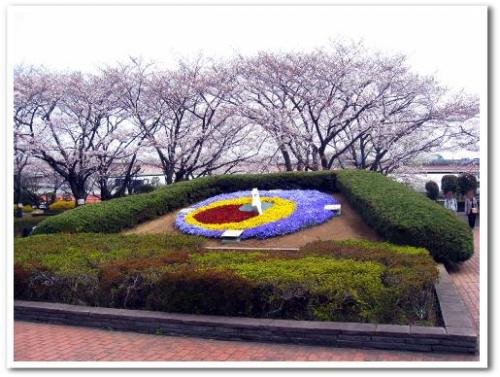 花見 桜 名所 穴場 オススメ スポット 家族 東京 葛飾区 小菅 2013 公園 小菅西公園 小菅水再生センター 堀切菖蒲園駅 綾瀬駅 008.jpg