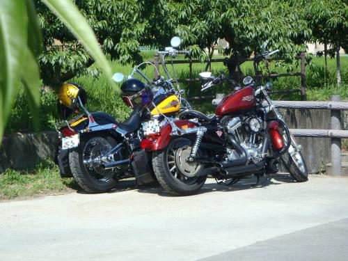 P8040036.JPG