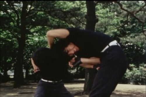 PDVD_041.jpg