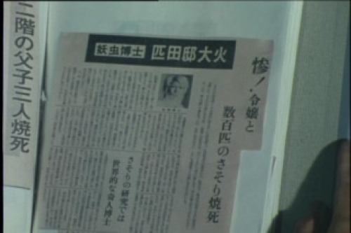PDVD_103.jpg