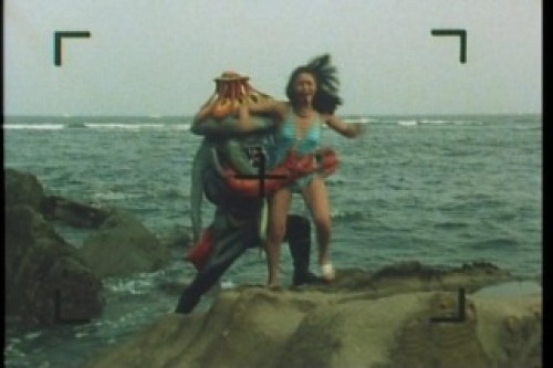 PDVD_029.jpg