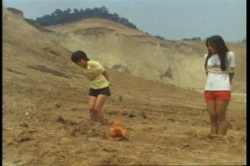 PDVD_095.jpg