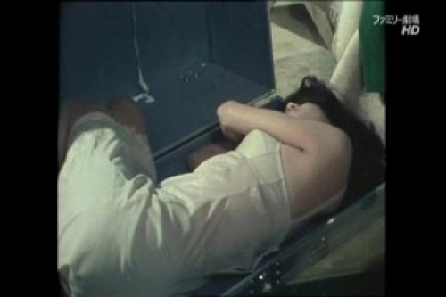 PDVD_017.jpg