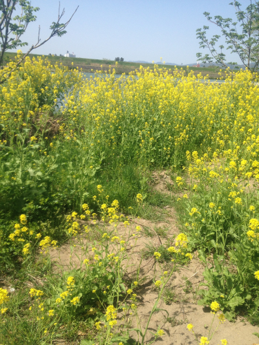 201205102055_7786_iphone.jpg