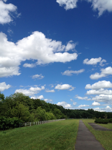 201207161852_6023_iphone.jpg