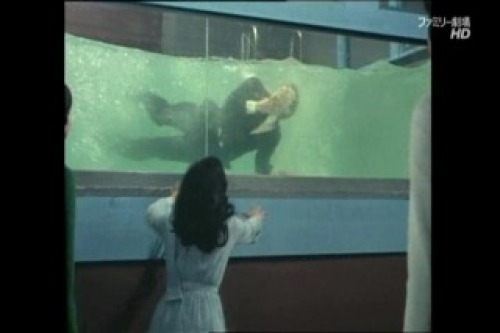 PDVD_057.jpg