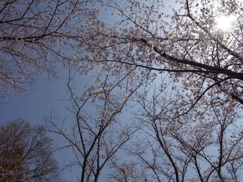 R0013415.JPG