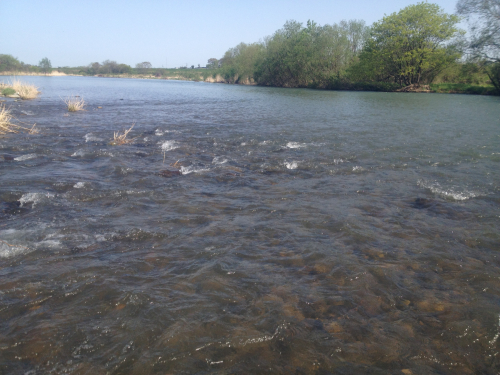201205102055_7526_iphone.jpg