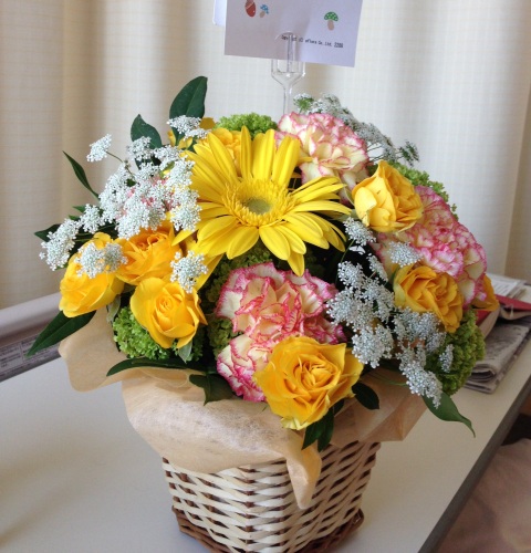 IMG_0890@.jpg