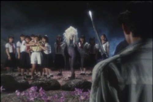 PDVD_037.jpg