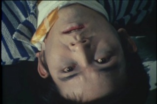 PDVD_146.jpg