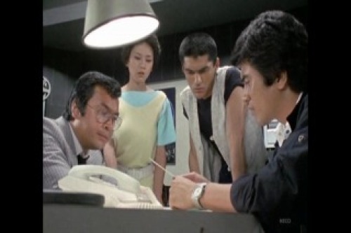 PDVD_005.jpg