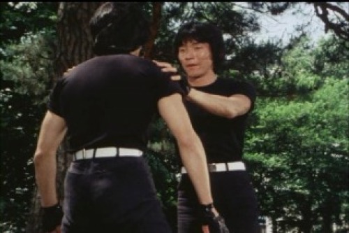 PDVD_033.jpg
