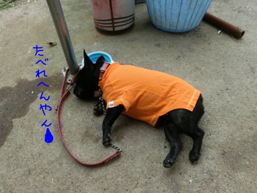 たべれへんやん.jpg