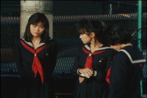 PDVD_015.jpg