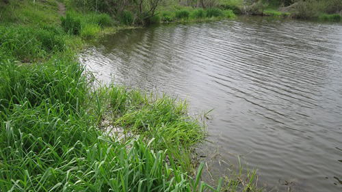 252-a.JPG