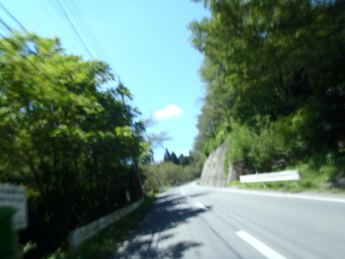 P8040050.JPG
