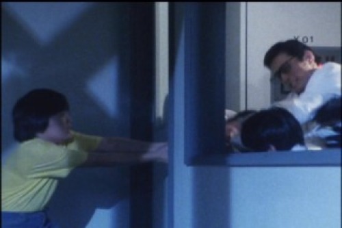 PDVD_004.jpg