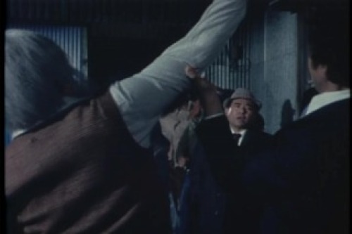 PDVD_132.jpg