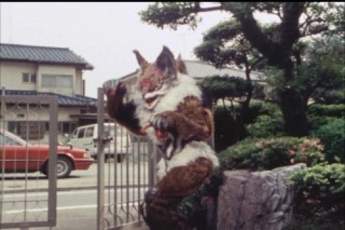 PDVD_027.jpg