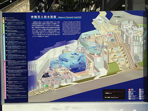 churaumi-acuarium.jpg