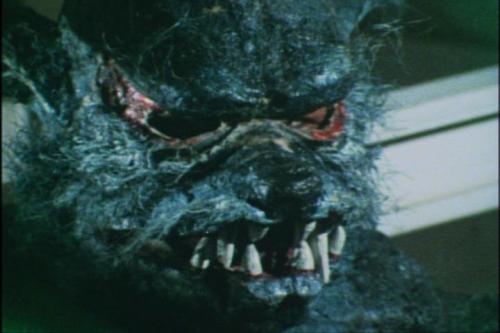 PDVD_001.JPG