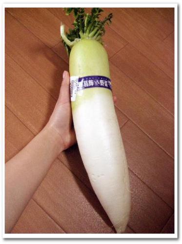 葛飾元気野菜直売所 葛飾元気野菜 農産物直売所 東京都 葛飾区 農協 JA 004.jpg
