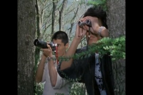 PDVD_011.jpg