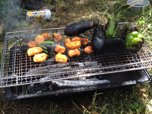 201208151602_6348_iphone.jpg