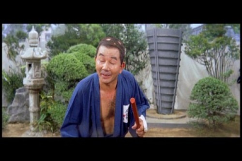 PDVD_075.jpg