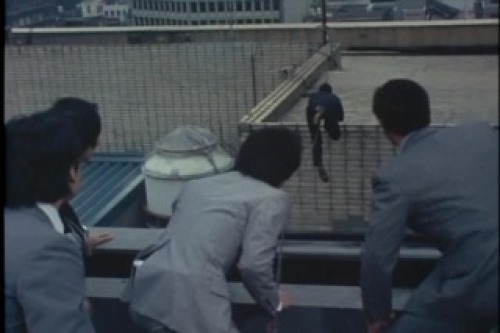 PDVD_031.jpg