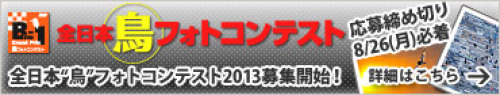 13banner370x50.jpg