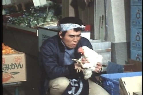 PDVD_164.jpg