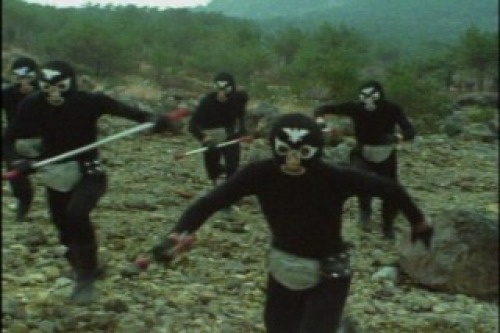 PDVD_015.jpg