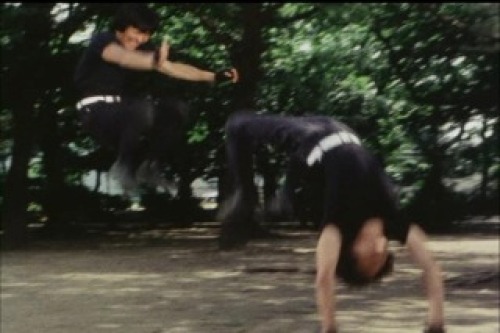 PDVD_037.jpg