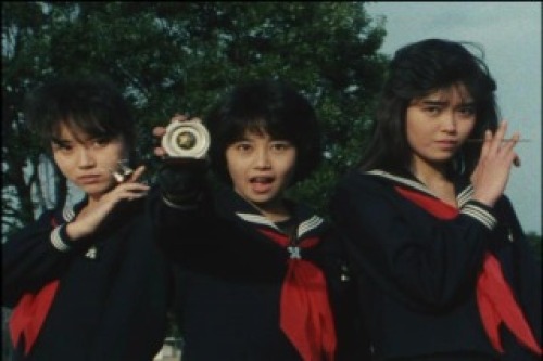 PDVD_031.jpg
