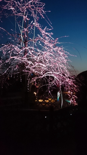 CYMERA_20170323_174429.jpg