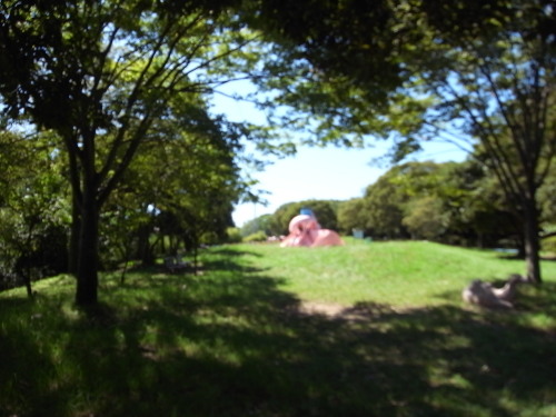 RIMG0612.JPG