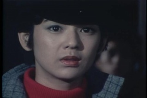 PDVD_135.jpg