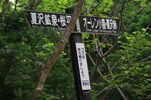 w2011-08-13-047-1-.jpg