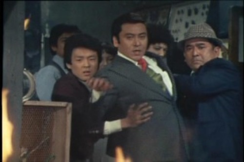 PDVD_179.jpg