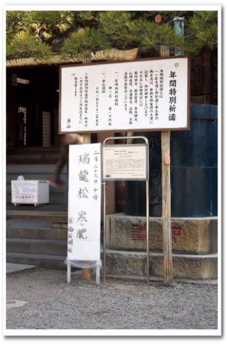 柴又帝釈天 瑞龍松 寒肥 日本酒 2013 006.jpg