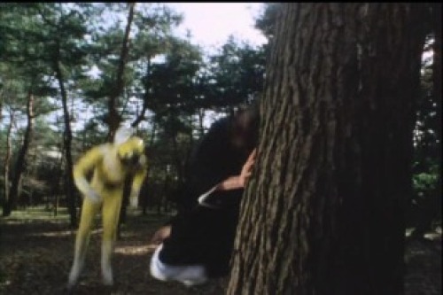 PDVD_018.jpg