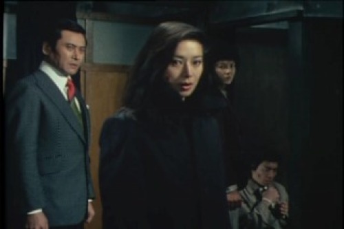 PDVD_172.jpg