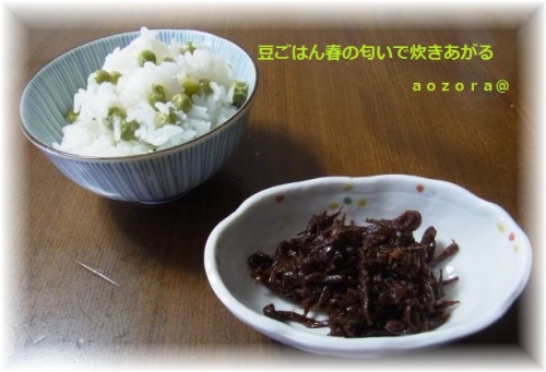 R0011290@.jpg