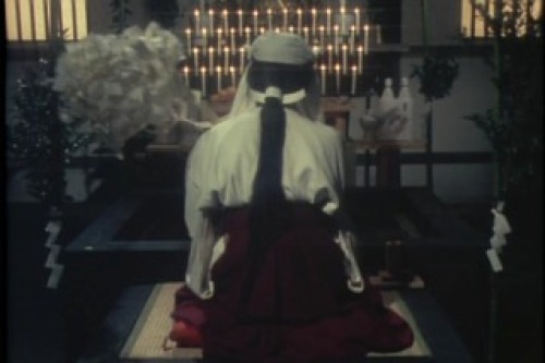 PDVD_117.jpg