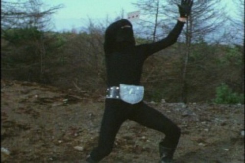 PDVD_007.jpg