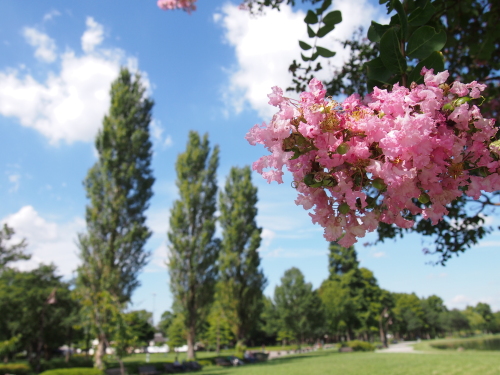 水元公園2012.9.24 031.jpg
